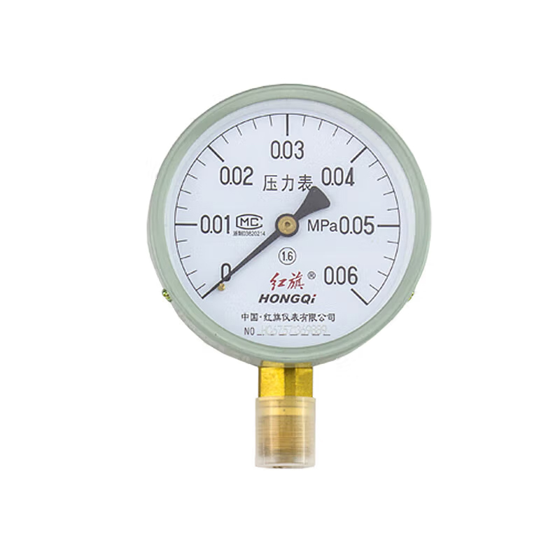 红旗 Y-100 压力表 0~0.06MPa （单位：个）  