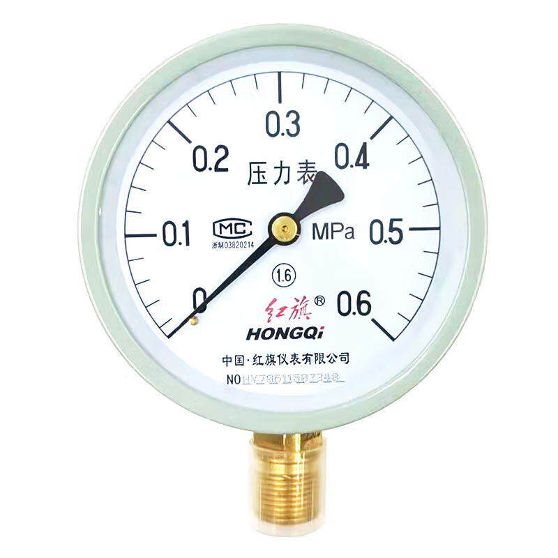 红旗 Y-100 压力表 0~0.6MPa （单位：个）  