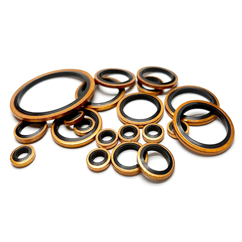 安赛瑞 4D00037 垫圈套装 M6~M16 （单位：套） 丁晴紫铜 