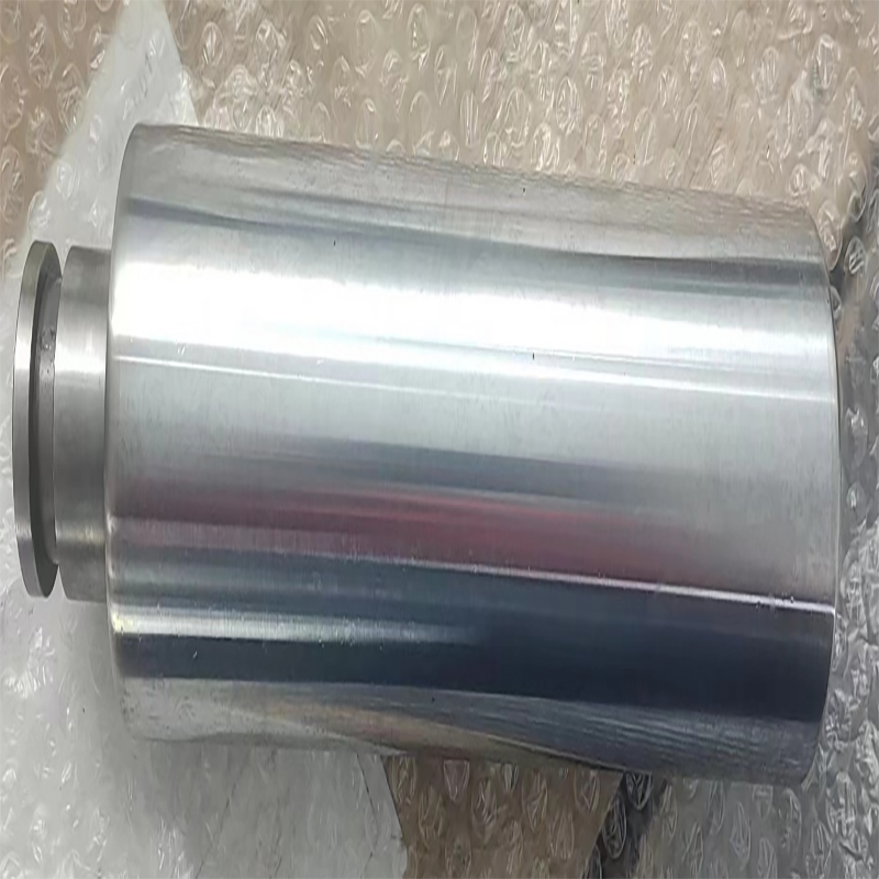 Bertoli 103030-04/21 柱塞 P3110 （单位：个）  