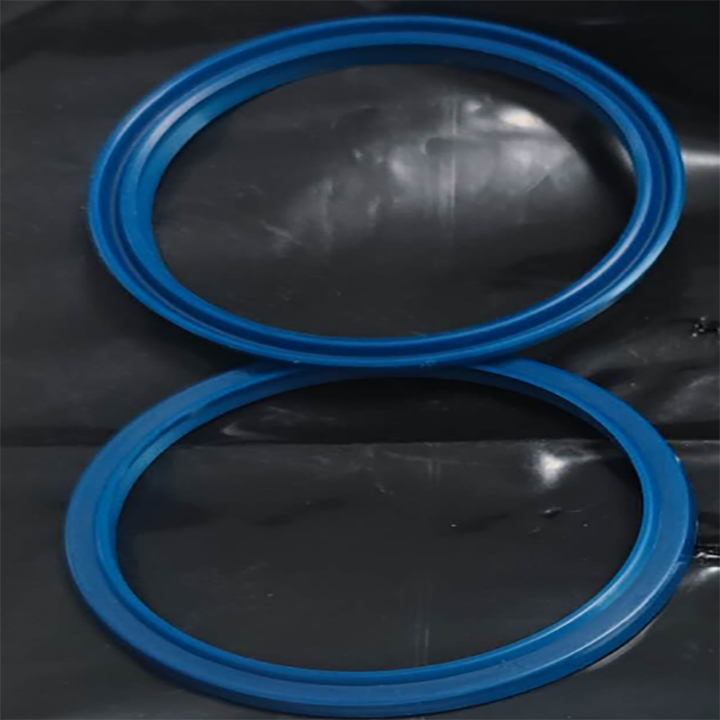 Bertoli GSD030 密封垫 P3110 （单位：个）  