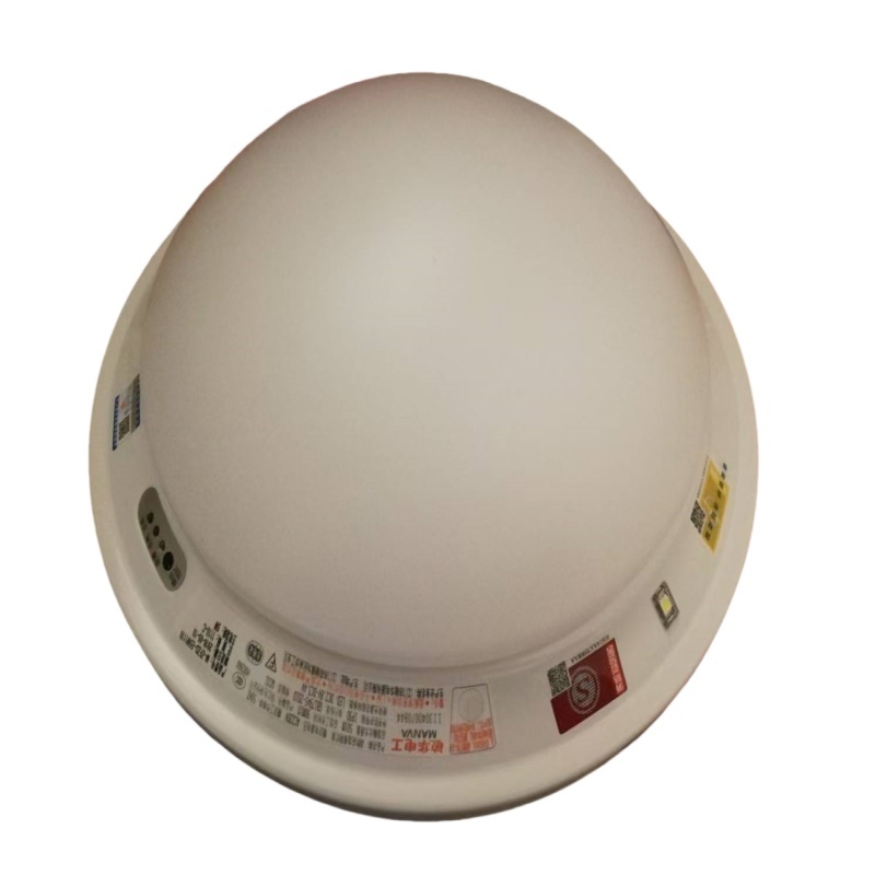 敏华 ZY-ZFZD-E3W3 应急吸顶灯 5xL （单位：个）  