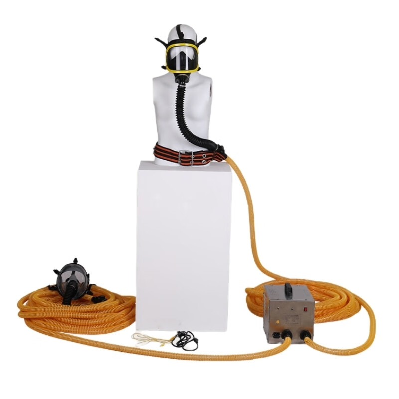 添盾 TDVSFCG-Q-D2 电动送风长管呼吸器 面罩款 2人用 20米 （单位：台）  