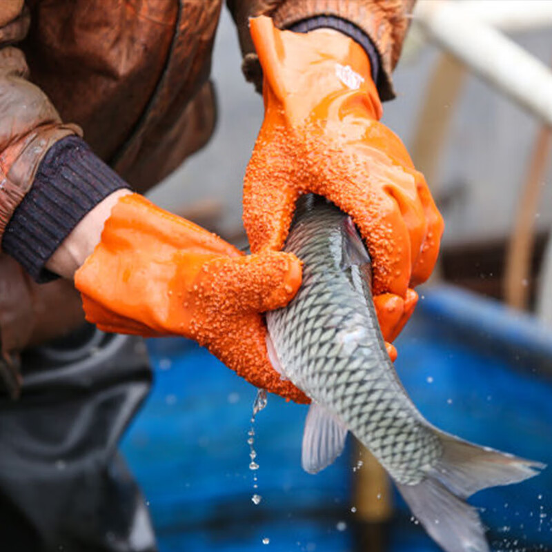 东亚 加绒款 防油防酸碱手套 3双/组 （单位：双）  