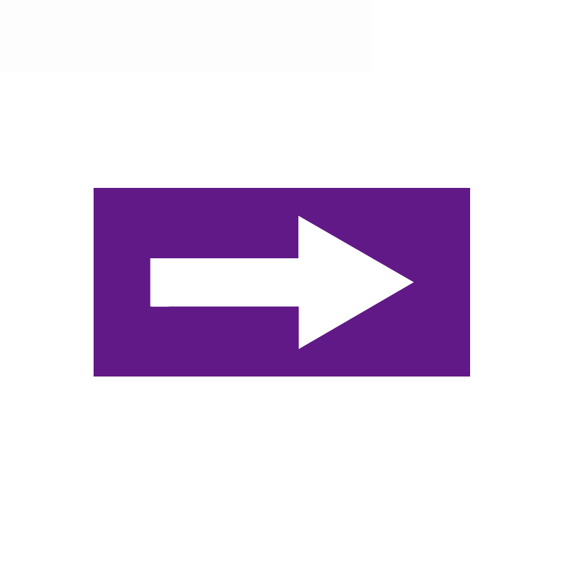 安赛瑞 15414 乙烯不干胶 管道流向箭头标识贴 25*50mm 10片/包 （单位：包）  紫白