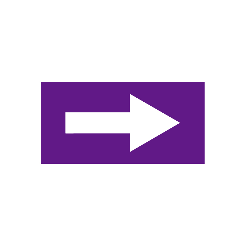 安赛瑞 15430 乙烯不干胶 管道流向箭头标识贴 10*20cm （单位：张）  紫白