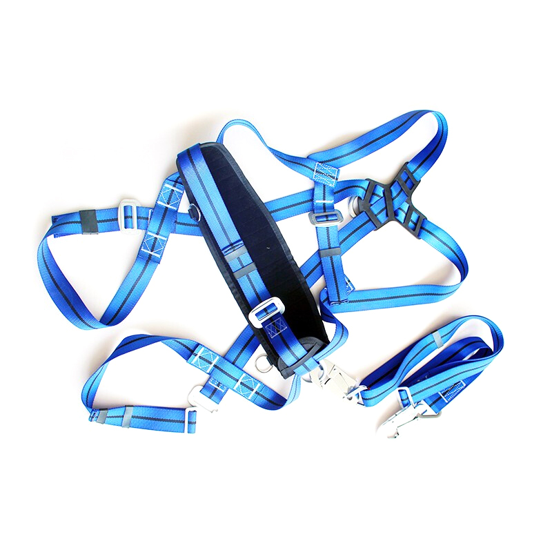 金能电力（JINNENGDIANLI） JN-AQD-GY-L 全身式 保险腰带  （单位：套）  蓝色