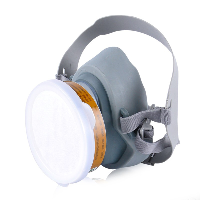 瑞珂韦尔 DP600 防尘面罩  （单位：个） 半面照不带滤网 