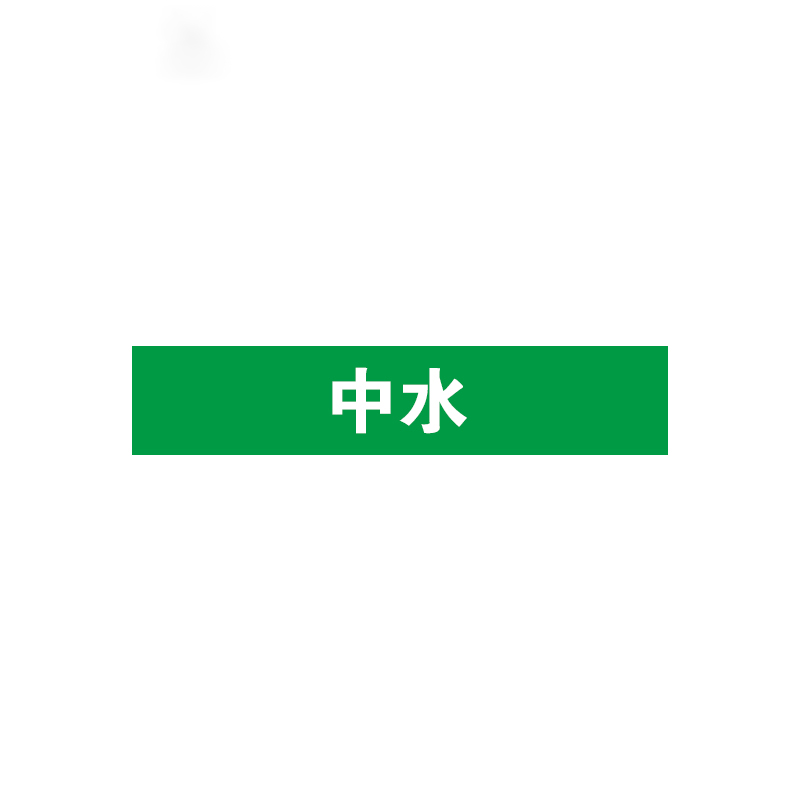 安赛瑞 15109 管道标识 50*250mm 5片/包 （单位：包）  绿色