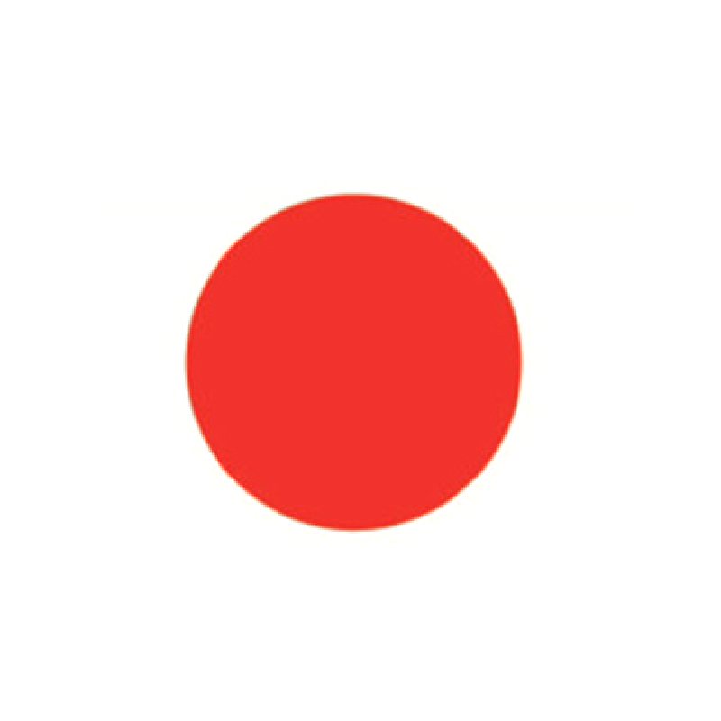 安赛瑞 15783 耐磨型5S管理地贴 5*5cm 10片/包 （单位：包）  红色