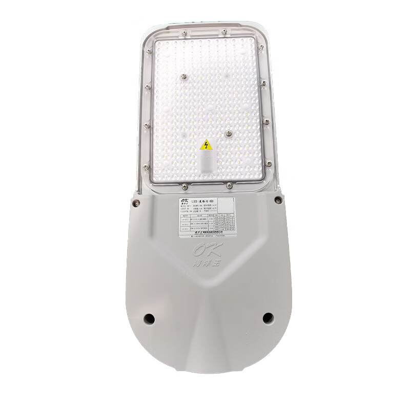 海洋王 ok-9612 LED道路灯灯头 100W AC220V IP66 （单位：个）