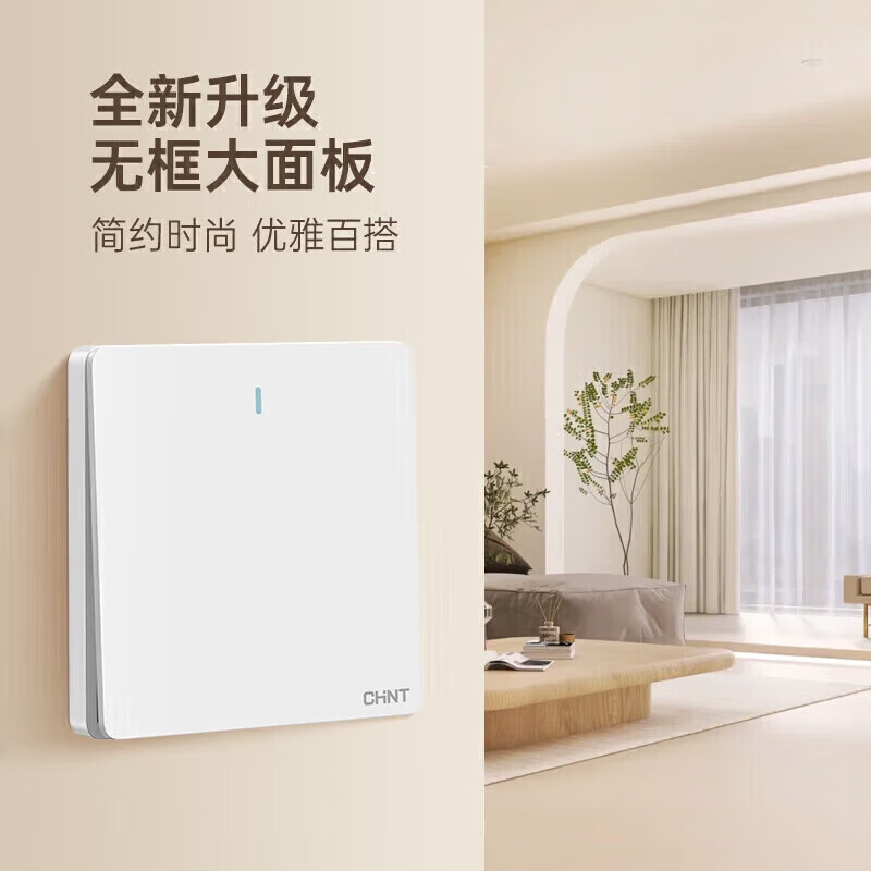 正泰（CHNT） NEW6-C13230 开关插座 五孔 带2位USB （单位：个）