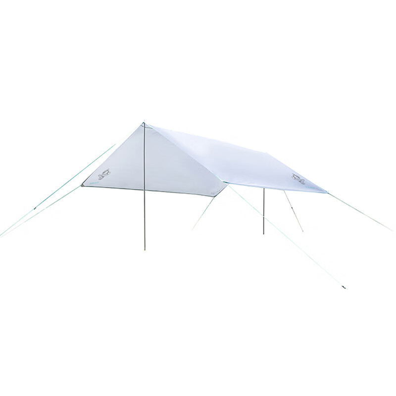 大迈（DAMO） DM-1009 星际飞越天幕 展开尺寸:400x330cm （单位：张）  