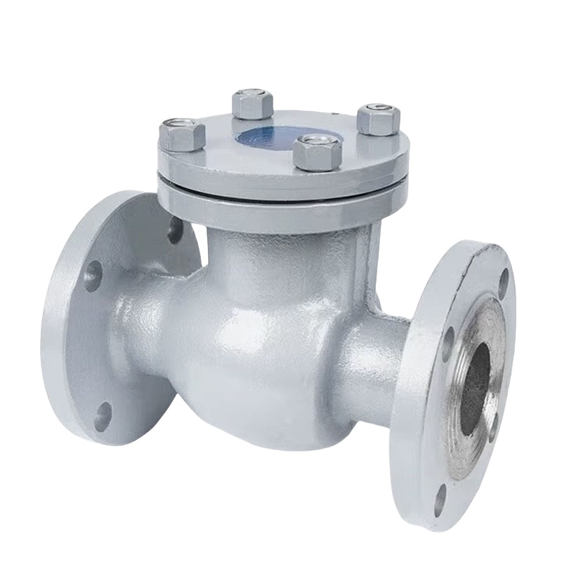 华亘 H44W-16P 止回阀和底阀 DN65 （单位：个） 10个起订