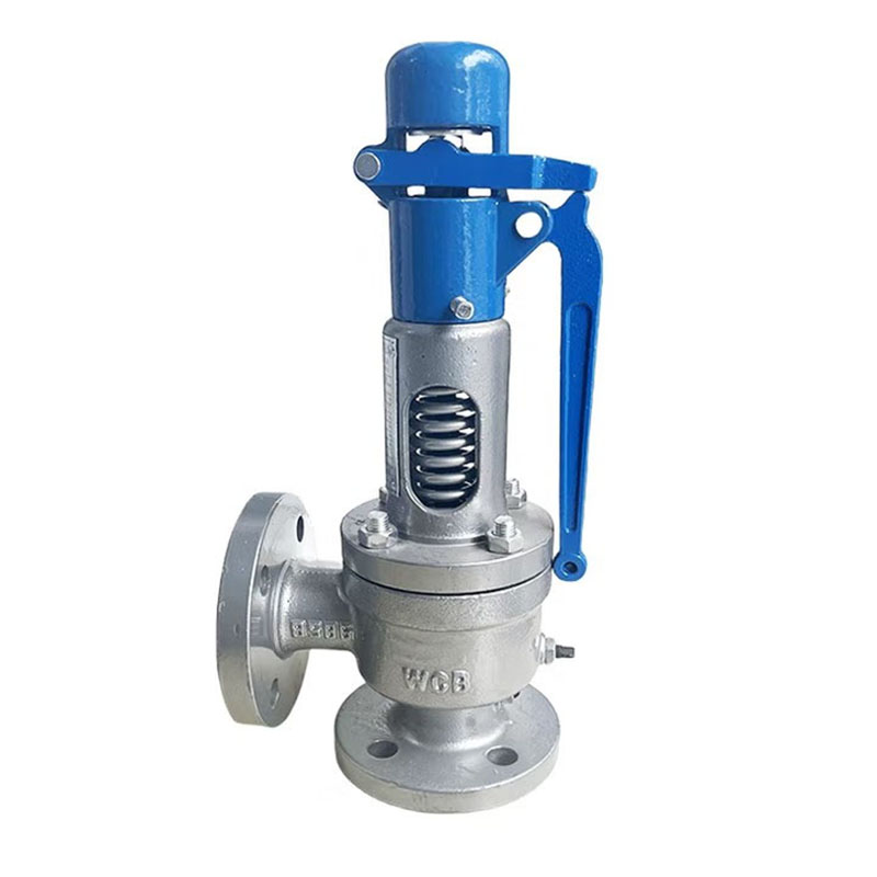 华亘 A48Y-16C 安全阀 DN80 （单位：个）