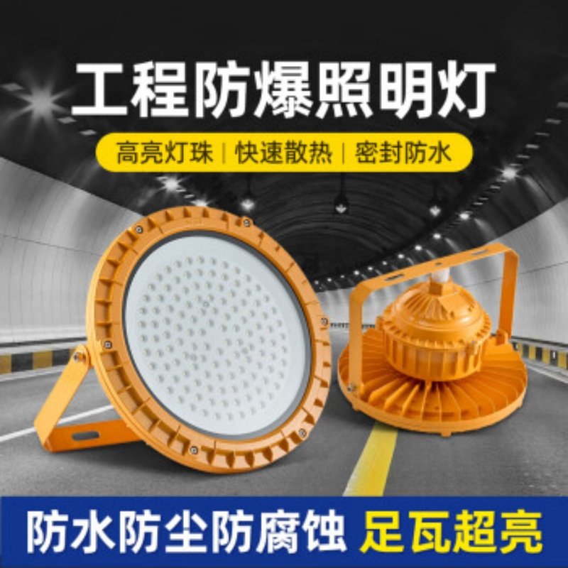 得焺led防爆灯隔爆型仓库厂房防水工厂车间照明灯工业工程高亮投光灯 EX防爆认证 圆形款白光-200W