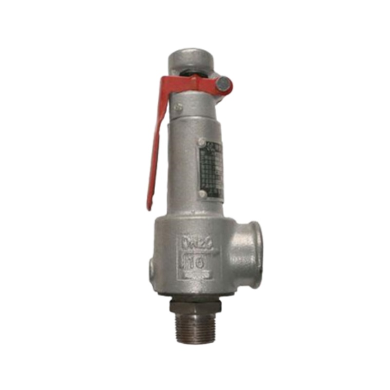 何佳功 弹簧式 安全阀 DN80 （单位：个）