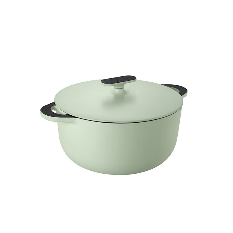 德世朗（DESLON） DFS-T868GN 极光系列珐琅深炖锅 24cm （单位：个） 浅绿色