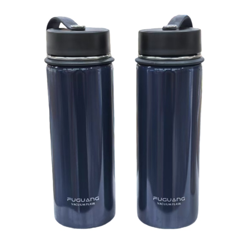 富光 FGL-3647 保温水杯 950ml （单位：个）许昌分行寻源专用  颜色随机