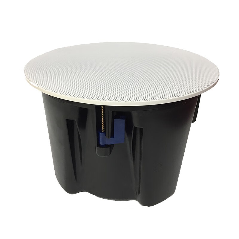 启诺（QN） QN-K119 吸顶音箱（挂顶音箱） 50W （单位：台） 白色