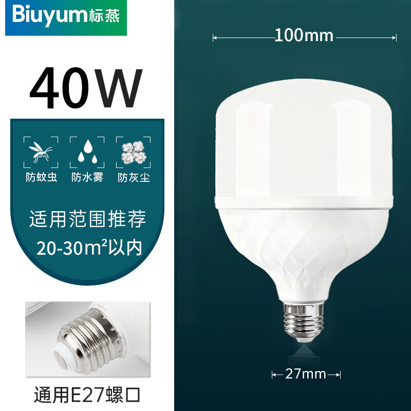 Biuyum 40w E27 led球泡 螺口 白光 6000k （单位：个）