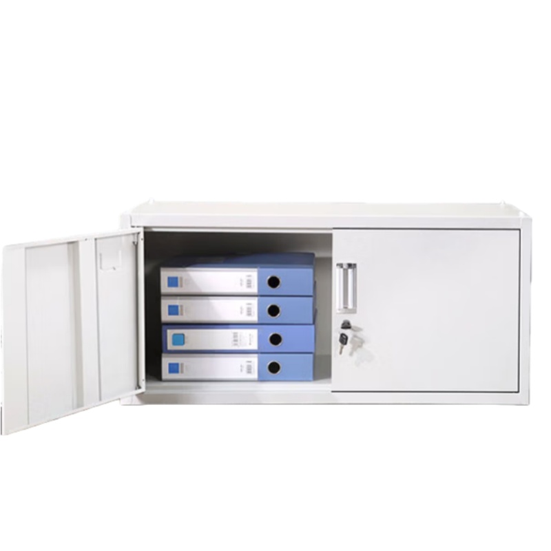 国产 铁皮 文件柜 390*850*360mm （单位：节）